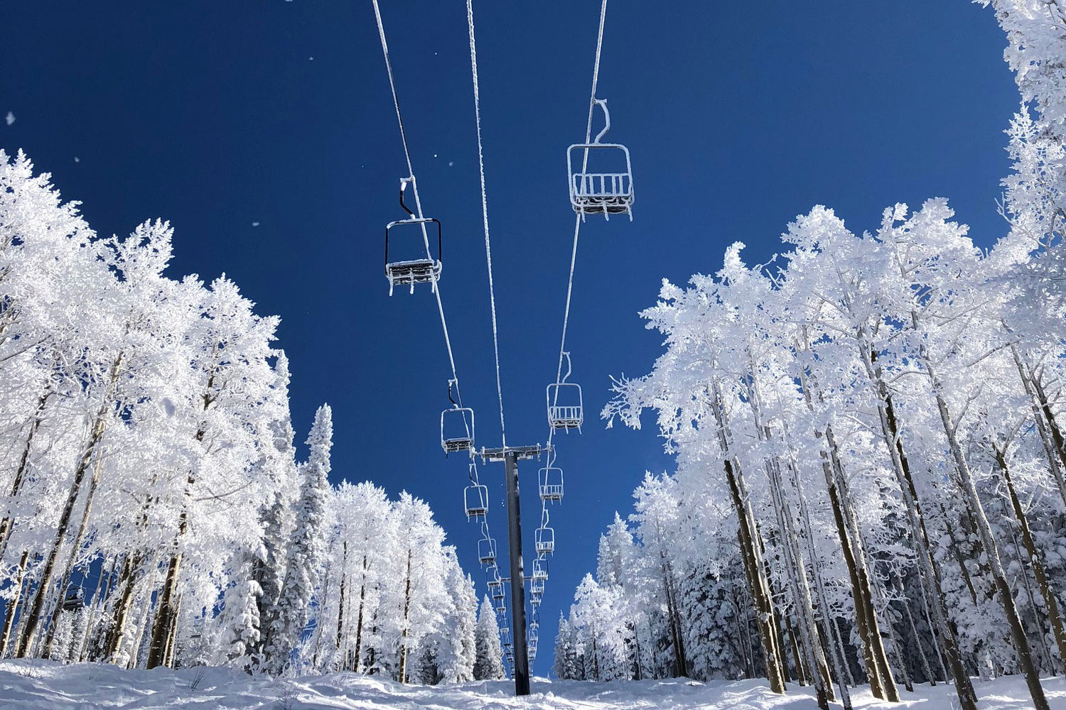 Pow to Chow: Finding Steamboat’s Secret Stashes