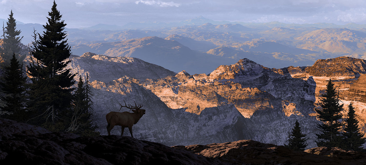 Voormi-Rocky Mountain Elk Foundation Collaborative Collection